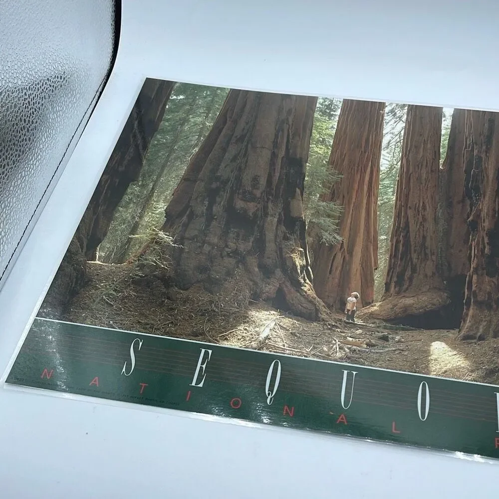 Vintage Souvenir placemat 2 sided Kings Canyon Sequoia N.P.
